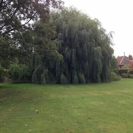 Primrose Bed & Breakfast Dunnington (North Yorkshire)