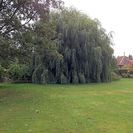 Primrose Bed and Breakfast 3*
