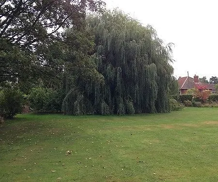 Bed & Breakfast Primrose 3*